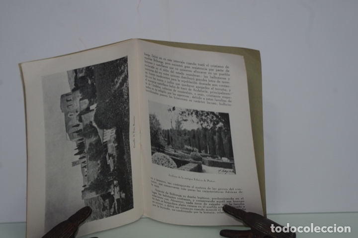 Libros antiguos: COMPENDIO DESCRIPTIVO E HISTORICO DE BRIHUEGA (GUADALAJARA) - Foto 2