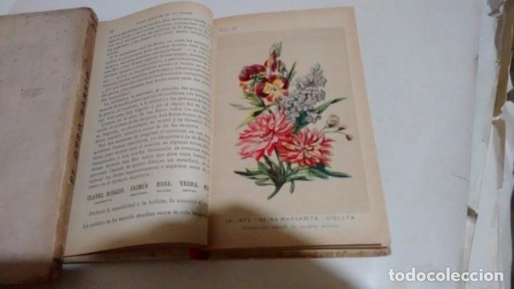 Libros antiguos: NUEVO LENGUAJE DE LAS FLORES Y DE LAS FRUTAS ....... - Foto 4