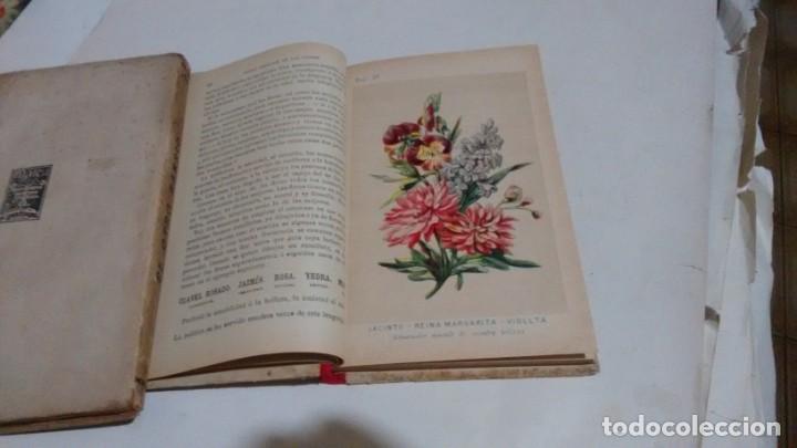 Libros antiguos: NUEVO LENGUAJE DE LAS FLORES Y DE LAS FRUTAS ....... - Foto 5
