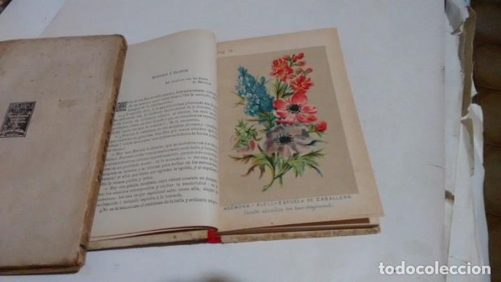 Libros antiguos: NUEVO LENGUAJE DE LAS FLORES Y DE LAS FRUTAS ....... - Foto 6