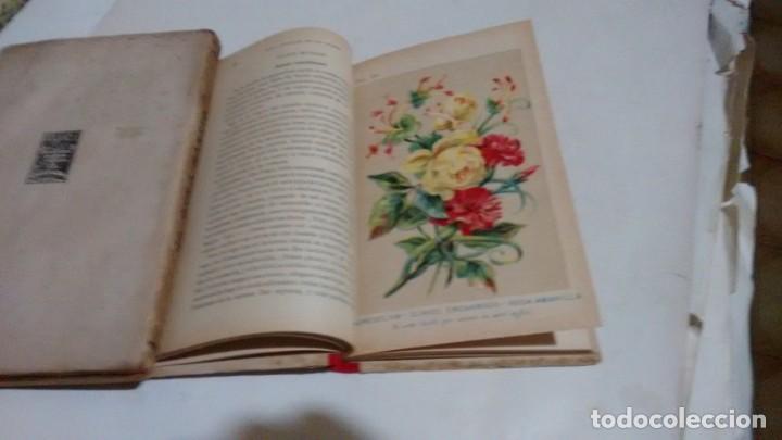 Libros antiguos: NUEVO LENGUAJE DE LAS FLORES Y DE LAS FRUTAS ....... - Foto 7