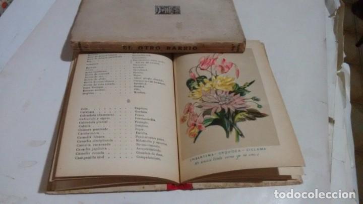 Libros antiguos: NUEVO LENGUAJE DE LAS FLORES Y DE LAS FRUTAS ....... - Foto 11