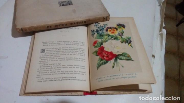 Libros antiguos: NUEVO LENGUAJE DE LAS FLORES Y DE LAS FRUTAS ....... - Foto 12