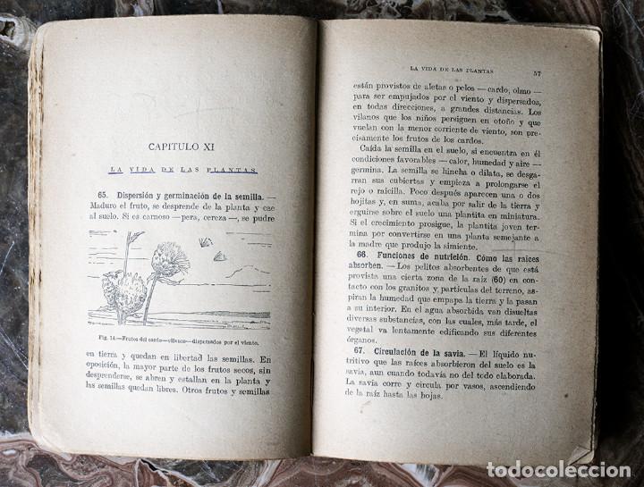 Libros antiguos: La ciencia, la industria, Juan Dant&iacute;n Cereceda - Foto 3
