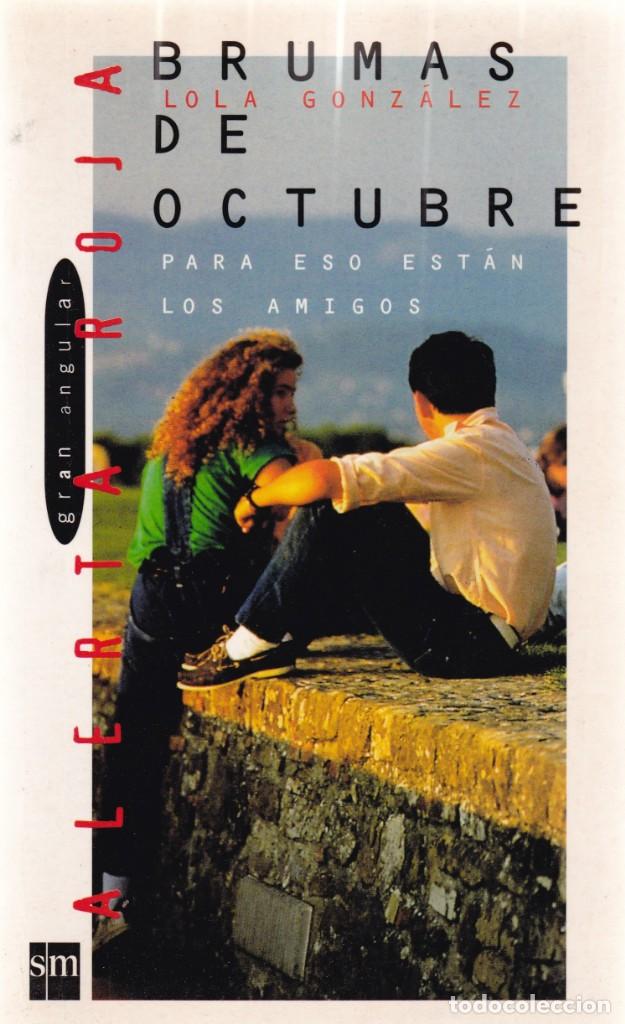 Libros antiguos: BRUMAS DE OCTUBRE - LOLA GONZALEZ - EDICIONES SM 1994 - Foto 1