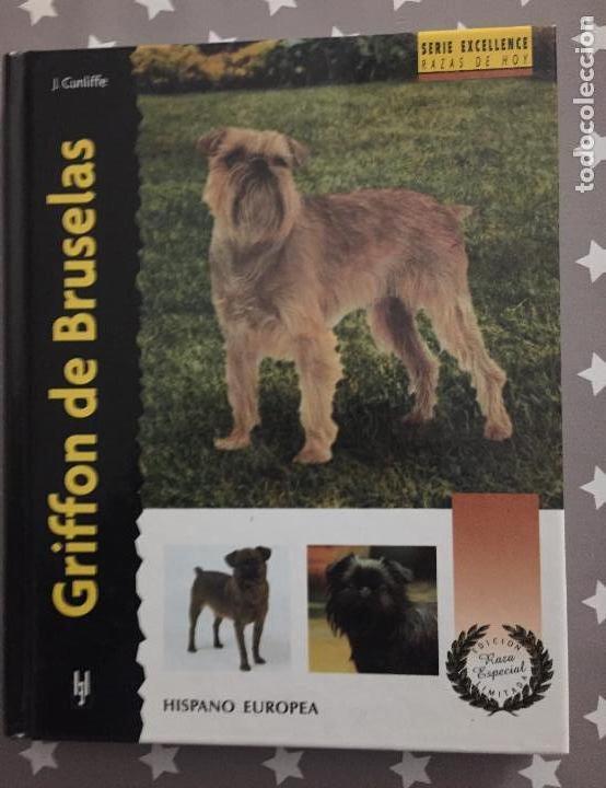 Libros antiguos: GRIFFON DE BRUSELAS, Hispano Europea - Foto 1