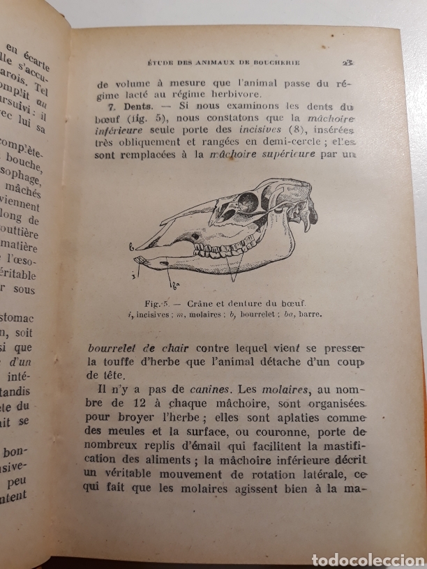 Libros antiguos: MANUEL DE BOUCHERIE M.GOULET 1925 - Foto 3