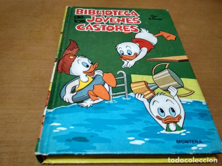 Libros antiguos: Biblioteca de los  j&oacute;venes castores - Foto 1