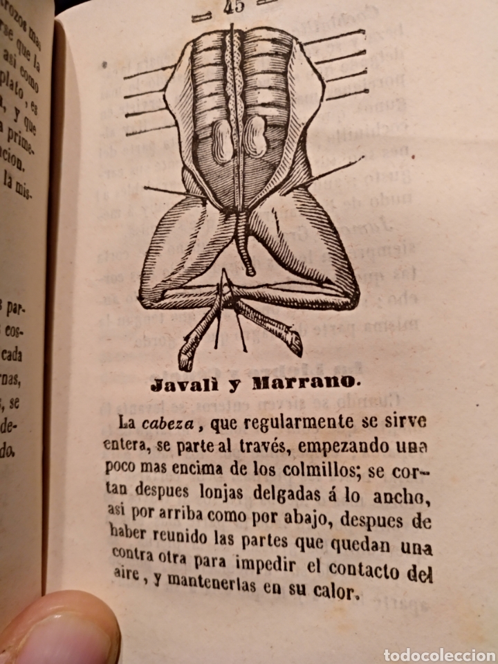 Libros antiguos: 1856. Nuevo arte de cocina - Foto 1
