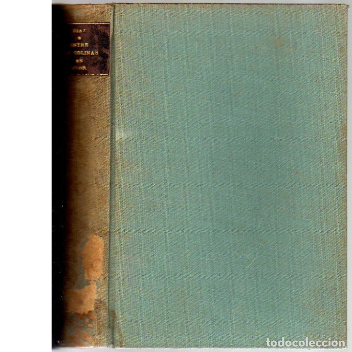 Libros antiguos: Entre las colinas en flor. Manuel D&iacute;az Rodr&iacute;guez. - Foto 1