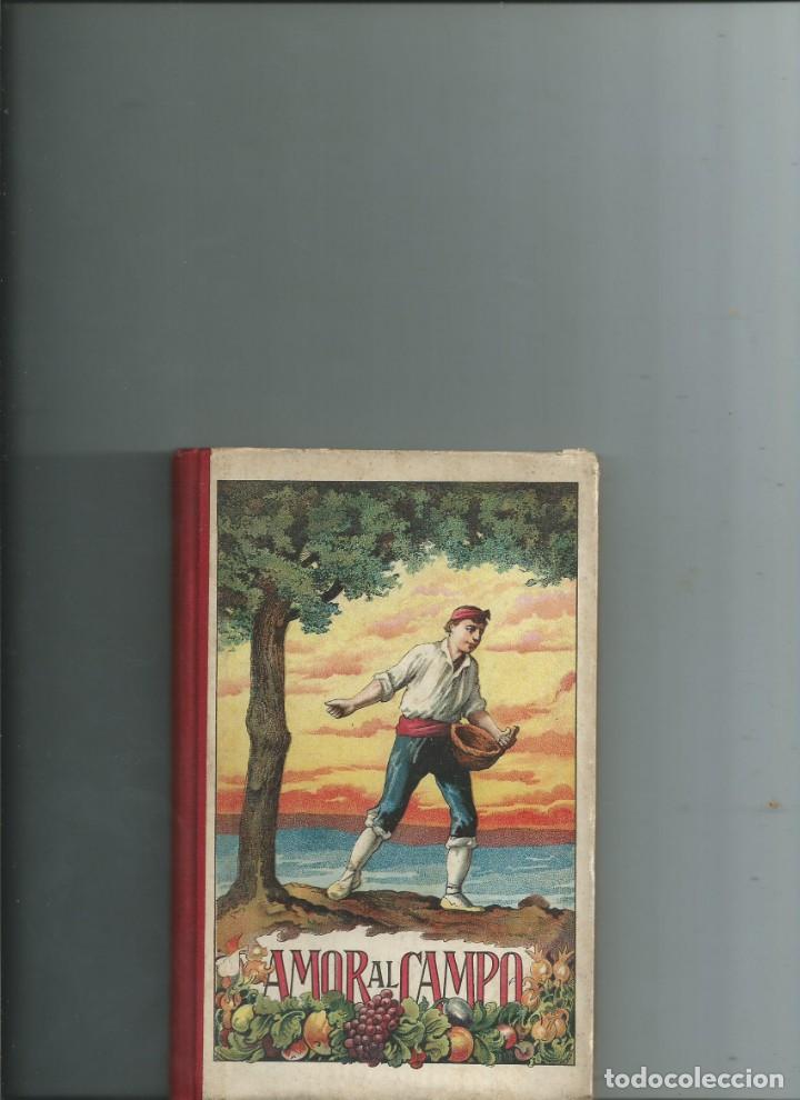 Livres anciens: AMOR AL CAMPO &Oacute; ANTONIO Y ANITA. MODELO DE LABRADORES. JOS&Eacute; ROSELL. A.J. BASTINOS 1906. NUEVO