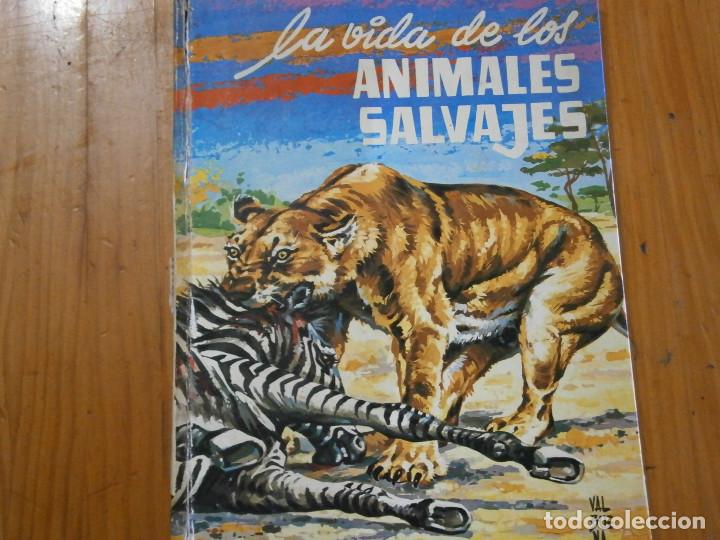 Libros antiguos: LA VIDA DE LOS ANIMALES SALVAJES - Foto 1