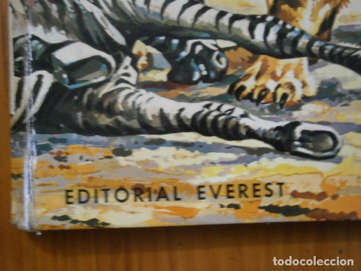 Libros antiguos: LA VIDA DE LOS ANIMALES SALVAJES - Foto 2