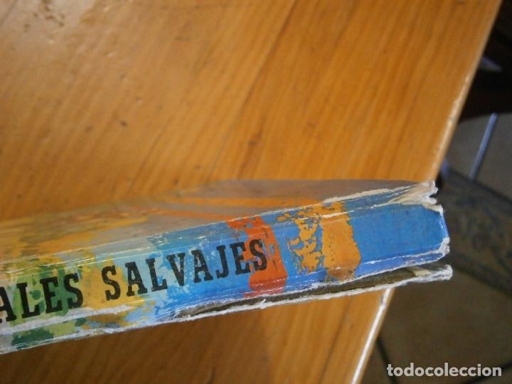 Libros antiguos: LA VIDA DE LOS ANIMALES SALVAJES - Foto 3