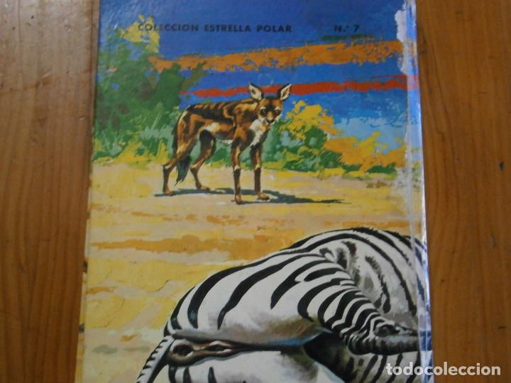 Libros antiguos: LA VIDA DE LOS ANIMALES SALVAJES - Foto 4