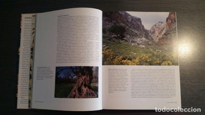 Libros antiguos: El Mediterr&aacute;neo en la historia - Foto 3