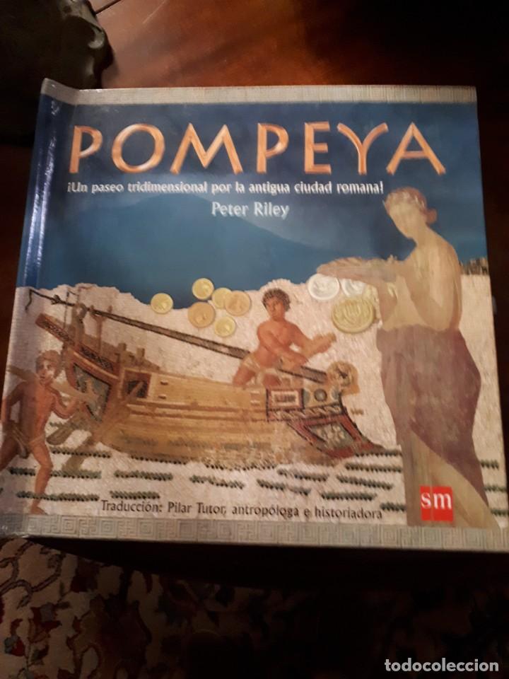 Pompeya Libro Pop Up Buy Other Old Literature Books For Children And Young Adults At Todocoleccion