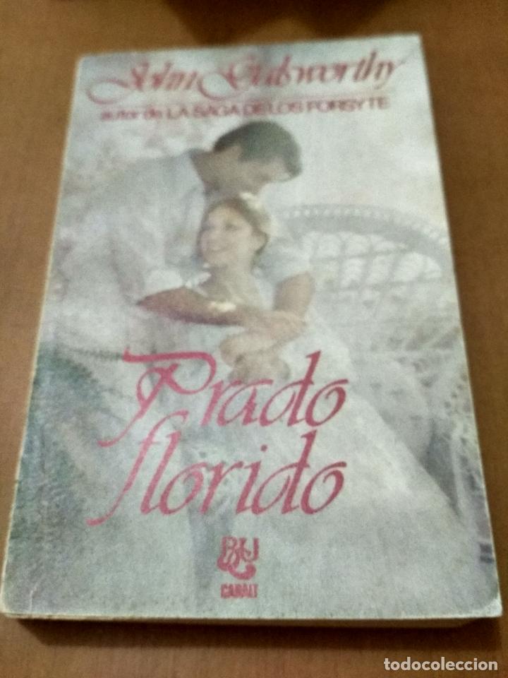 Old books: Prado Florido