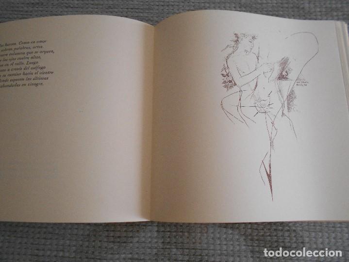 Libros antiguos: libro de  malaga  la uva undecima - Foto 2
