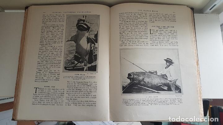 Libros antiguos: Pictorial Knowledge vol 1 - Foto 2