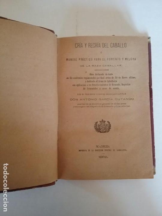 Libros antiguos: Cria y Recria del Caballo, a&ntilde;o 1882 - Foto 3