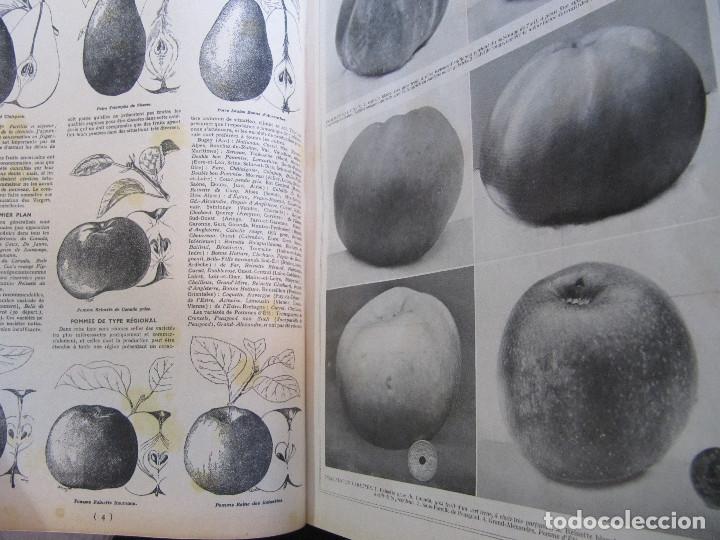Libros antiguos: VIE LA CAMPAGNE 1932 1935 - Foto 23