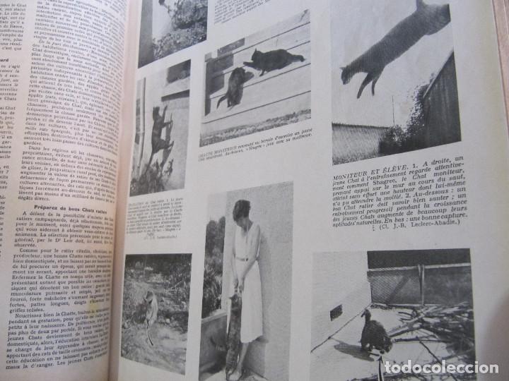 Libros antiguos: VIE LA CAMPAGNE 1932 1935 - Foto 24