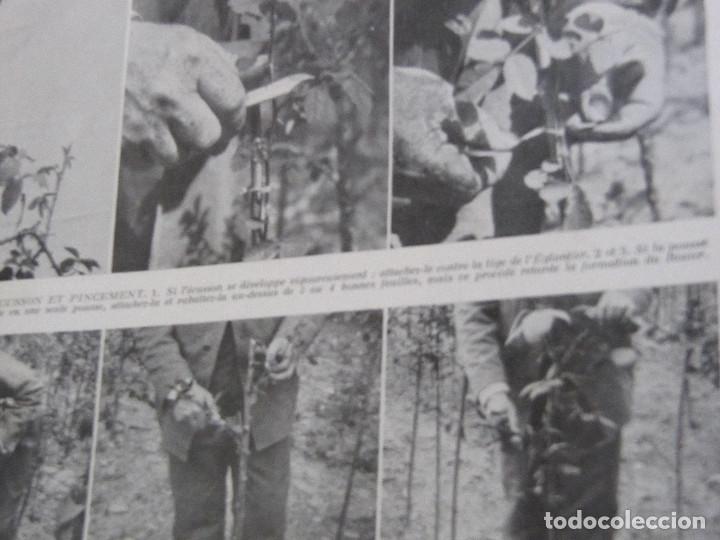 Libros antiguos: VIE LA CAMPAGNE 1932 1935 - Foto 27