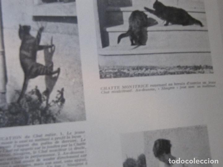 Libros antiguos: VIE LA CAMPAGNE 1932 1935 - Foto 29