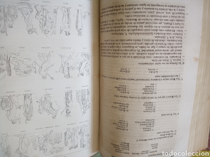 Libros antiguos: Mitolog&iacute;a Universal - Foto 4