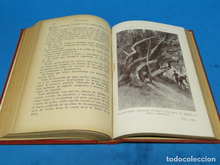 Libros antiguos: EL FARO DE LA ISLA DE LAS GAVIOTAS .-CAP. LUIGI MOTTA - Foto 4