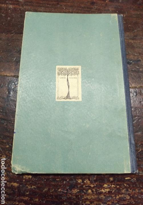 Libros antiguos: LIBRO DE ESTAMPAS. C. ANDERSEN - Foto 3