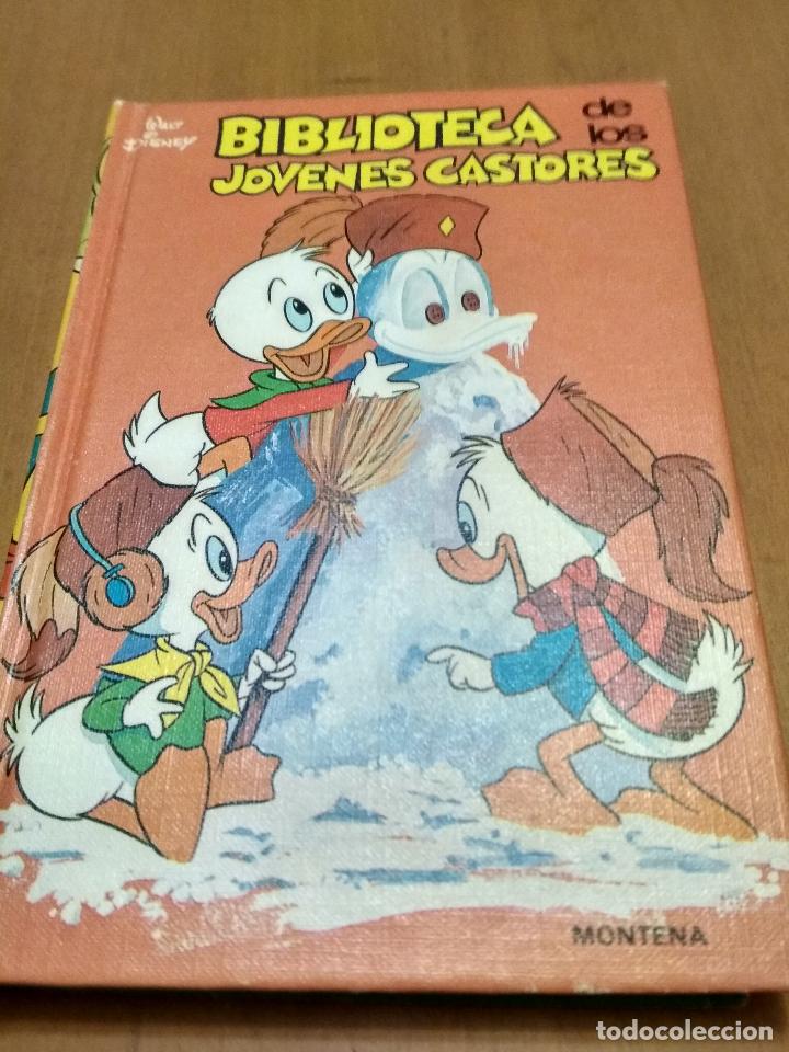 Libros antiguos: Biblioteca de los j&oacute;venes castores - Foto 1