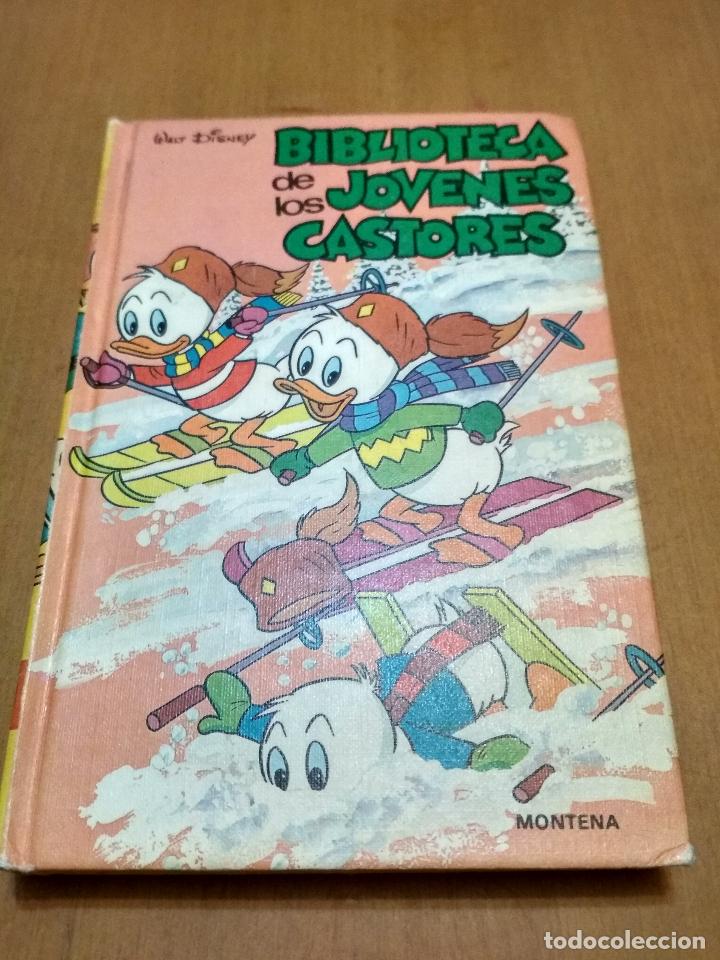 Libros antiguos: Biblioteca de los j&oacute;venes castores - Foto 1
