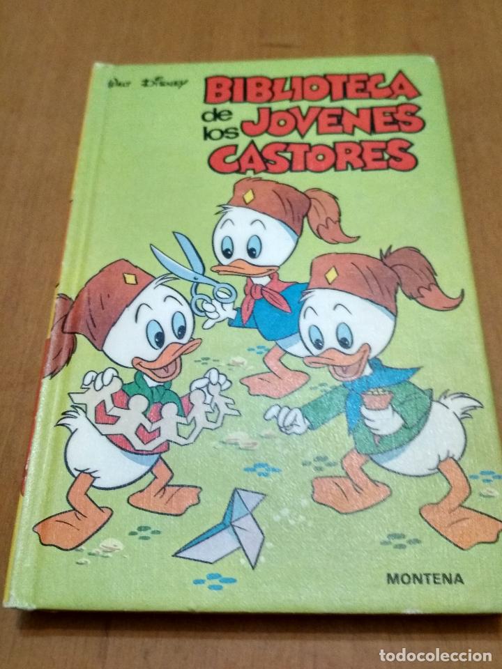 Libros antiguos: Biblioteca de los j&oacute;venes castores - Foto 1