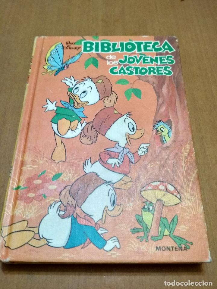 Libros antiguos: Biblioteca de los j&oacute;venes castores - Foto 1
