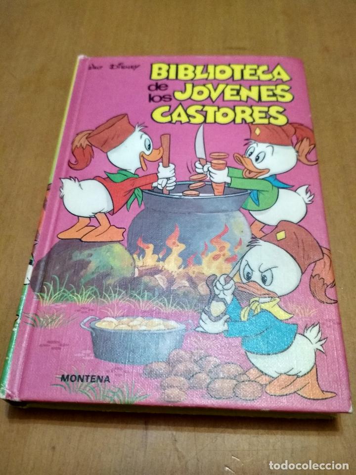 Libros antiguos: Biblioteca de los j&oacute;venes castores - Foto 1