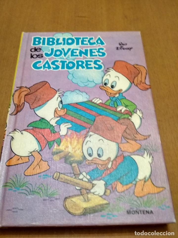 Libros antiguos: Biblioteca de los j&oacute;venes castores - Foto 1