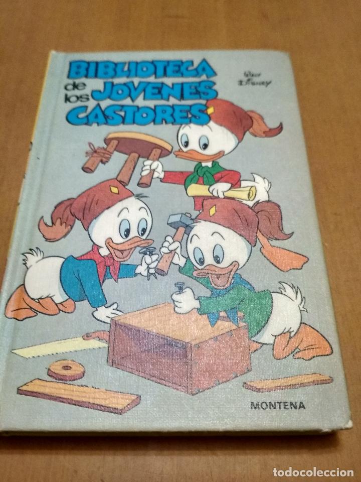 Libros antiguos: Biblioteca de los j&oacute;venes castores - Foto 1
