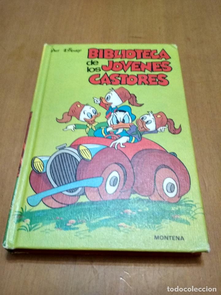 Libros antiguos: Biblioteca de los j&oacute;venes castores - Foto 1