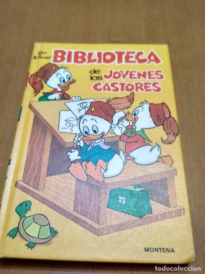 Libros antiguos: Biblioteca de los j&oacute;venes castores - Foto 1