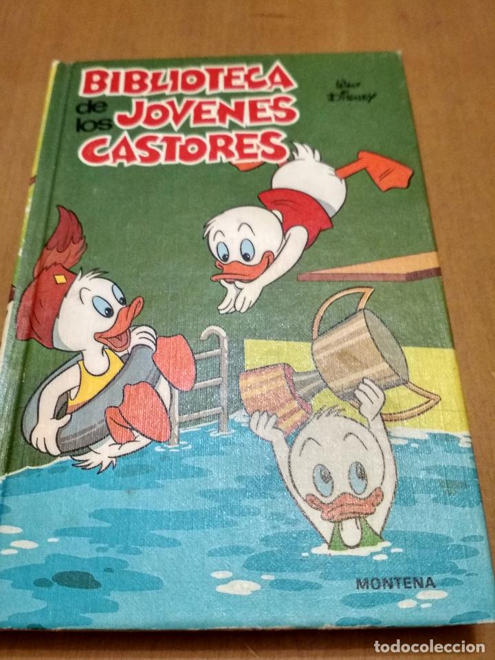 Libros antiguos: Biblioteca de los j&oacute;venes castores - Foto 1