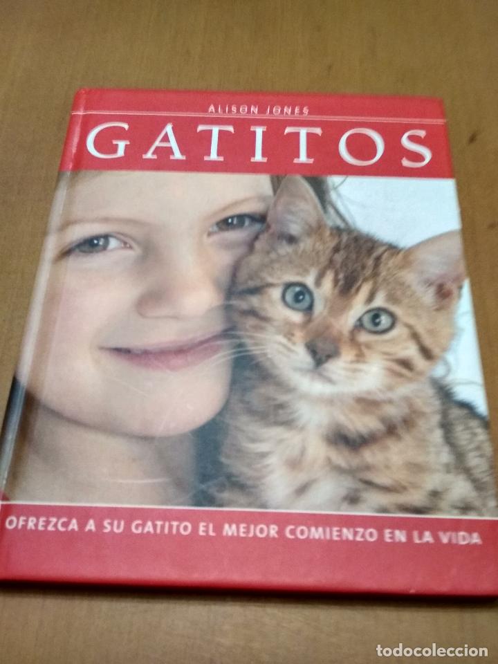 Libros antiguos: Gatitos - Foto 1