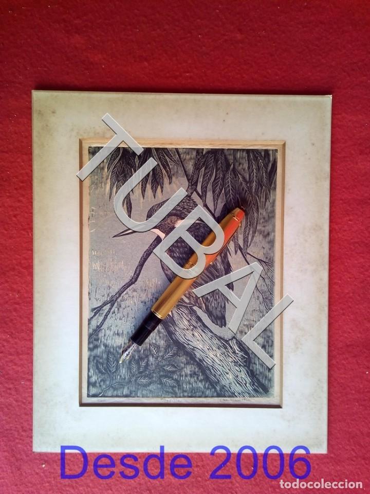 Libros antiguos: GRABADO ANTIGUO FIRMADO Y NUMERADO REY PESCADOR ORNITOLOGIA B29