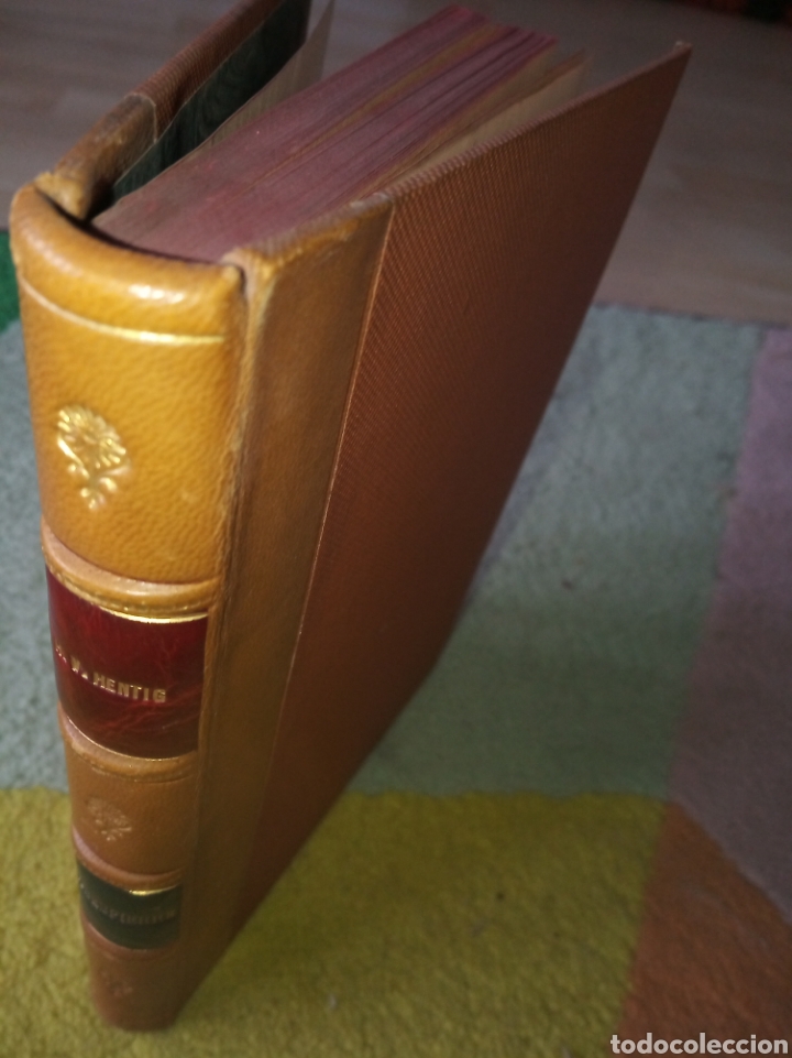 Libros antiguos: Robespierre. Hans Bon Hentig - Foto 1