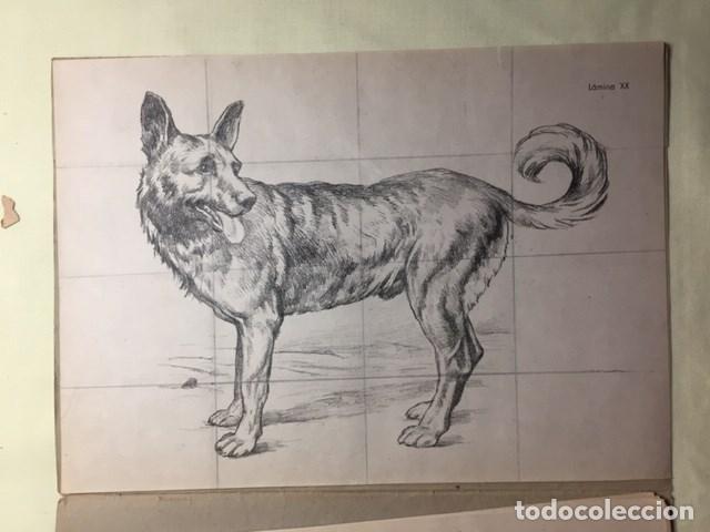 Libros antiguos: Iniciacion al dibujo - Foto 3