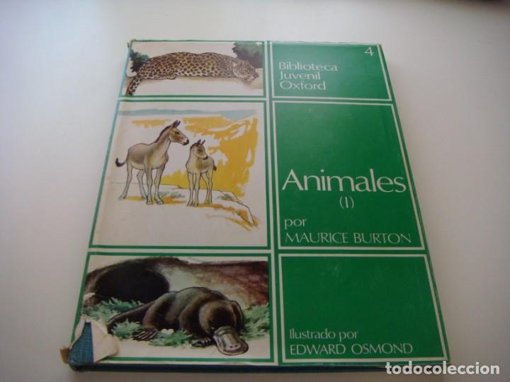Libros antiguos: BIBLIOTECA JUVENIL OXFORD - Foto 11