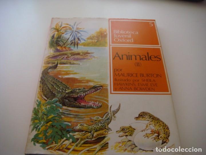 Libros antiguos: BIBLIOTECA JUVENIL OXFORD - Foto 12