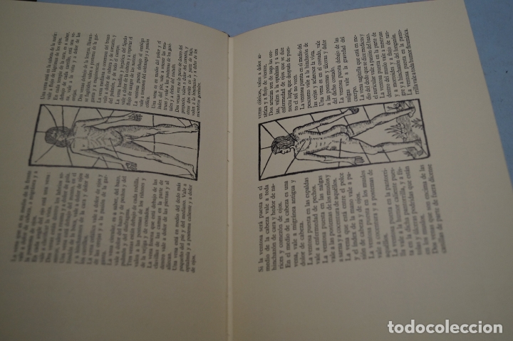 Libros antiguos: REPORTORIO DE LOS TIEMPOS. ANDR&Eacute;S DE LI. - Foto 3