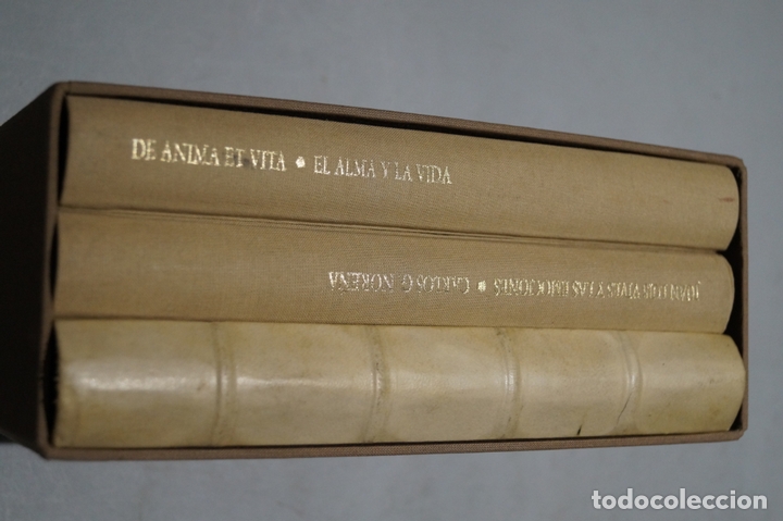 Libros antiguos: VIVES. VALENTINUS. IOANNES LODOVICUS. - Foto 2